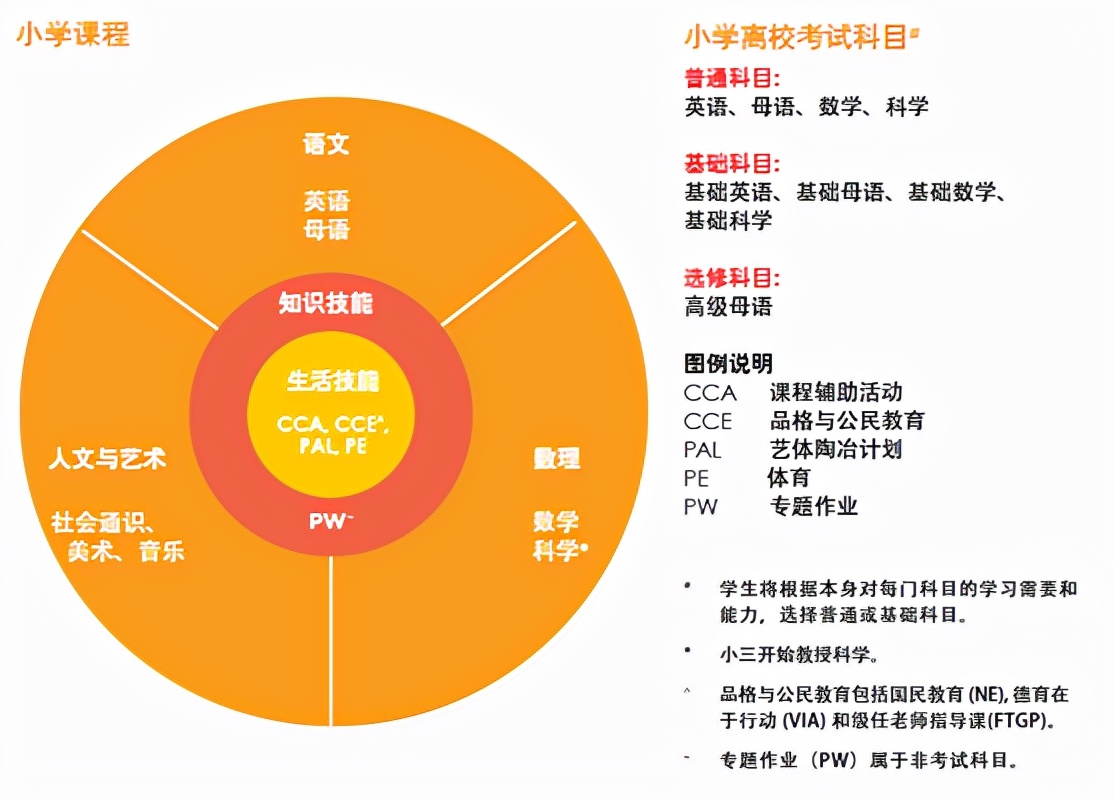 新加坡留学的相关政策,新加坡留学的相关政策有什么