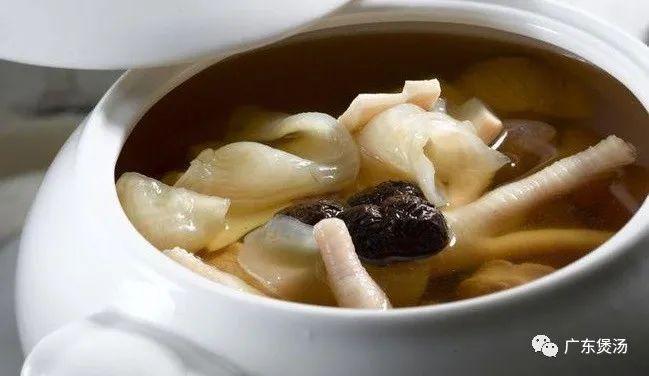花胶和什么煲汤最适合？花胶煲汤的做法大全
