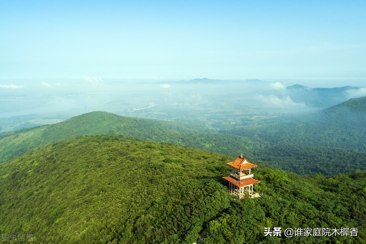 宁可食无肉，不可居无竹。古诗词里的竹子，韵味悠长、翰墨飘香