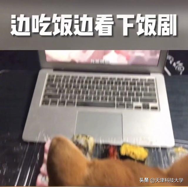 揭秘大学生的真实日常！