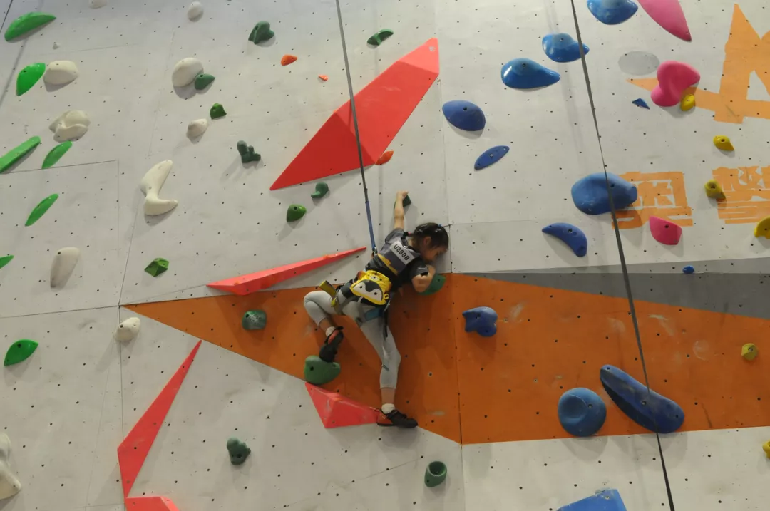 找个场地就能开班？别把“体育培训”想得太简单