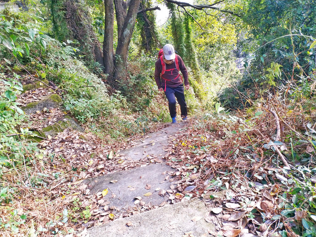 阿迪达斯裤子尺码（阿迪达斯男子户外长裤测评）