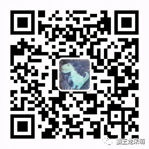 欢迎来到恐龙之谷，故事是这样的