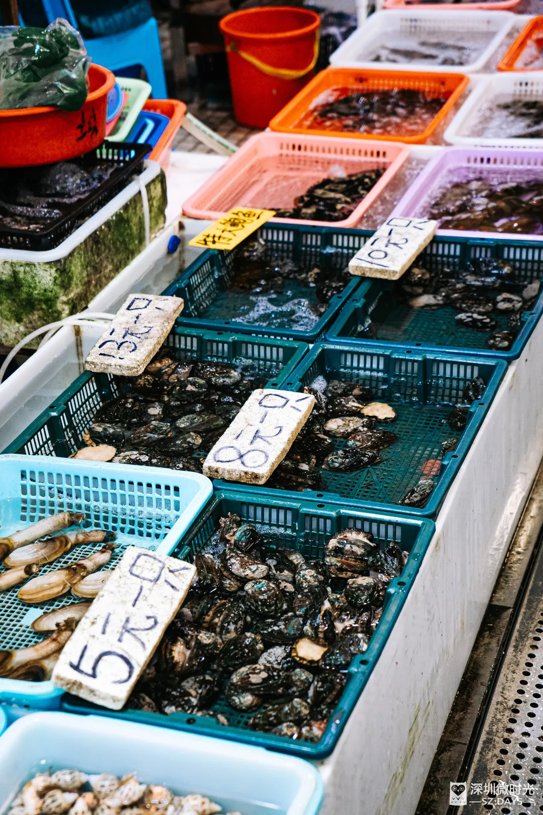 100元能買多少海鮮？實測深圳4家海鮮市場，太卷了