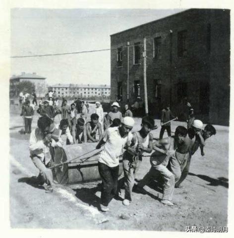 1986年，甘肃农业大学为什么离开武威