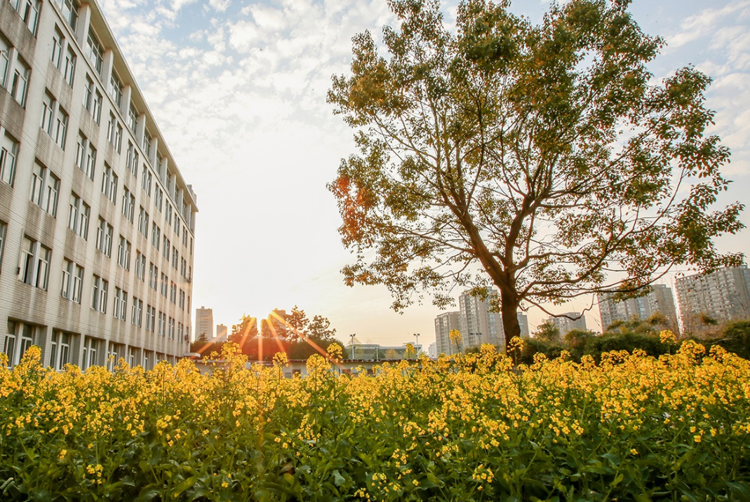 高考分数只够二本，可以考虑这3所独立学院，都拥有985师资