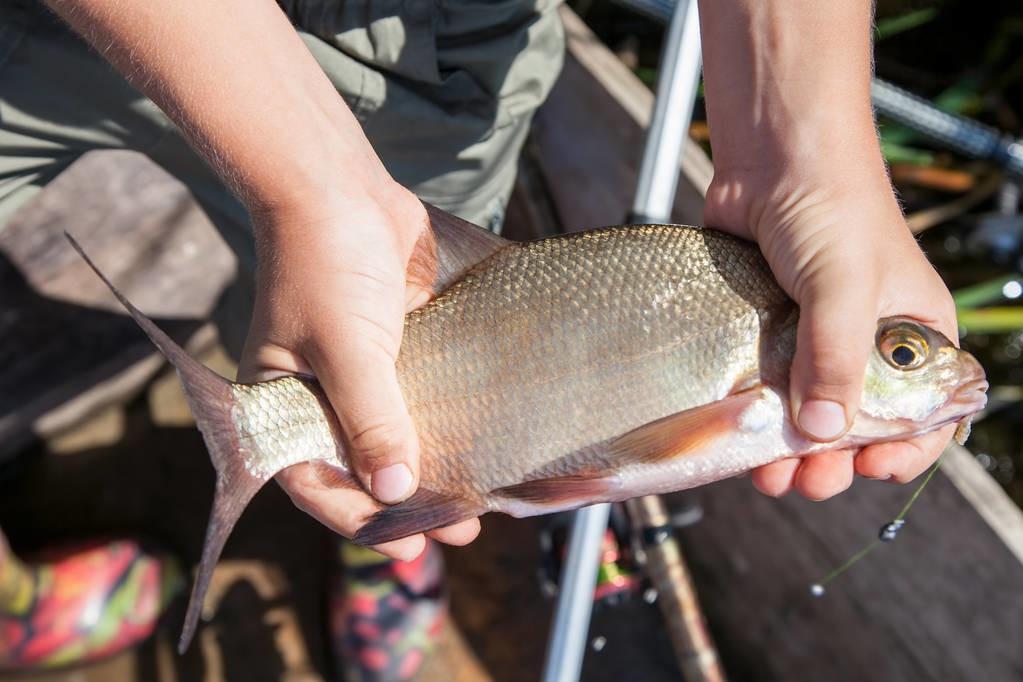 枣核型浮漂的优缺点（枣核型浮漂和细长身浮漂）-第3张图片-巴山号