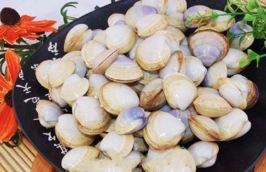 寻味沿海：花蛤？文蛤？白蛤？傻傻分不清楚！蛤蜊到底有几种？