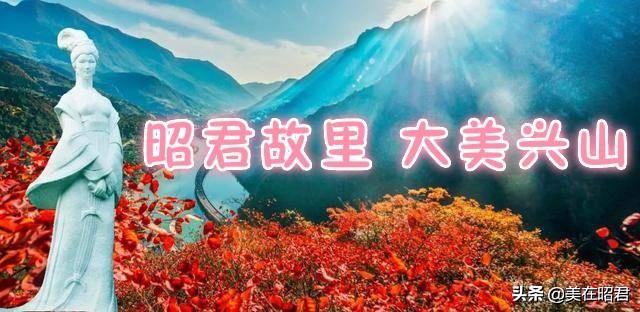 关于肋怎么读「精华」知识的介绍