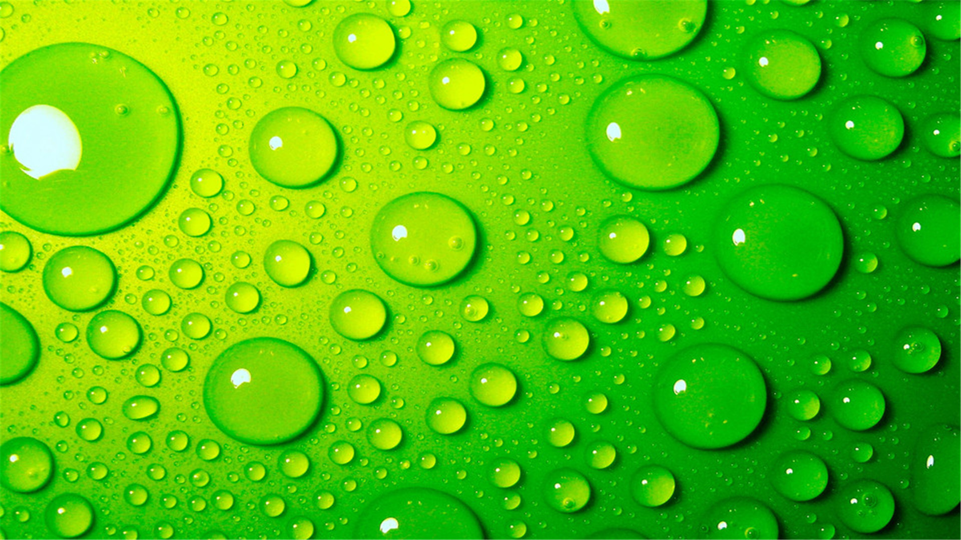 82张护眼电脑桌面壁纸尺寸(1920x1080)适合任何电脑尺码,全是以绿色