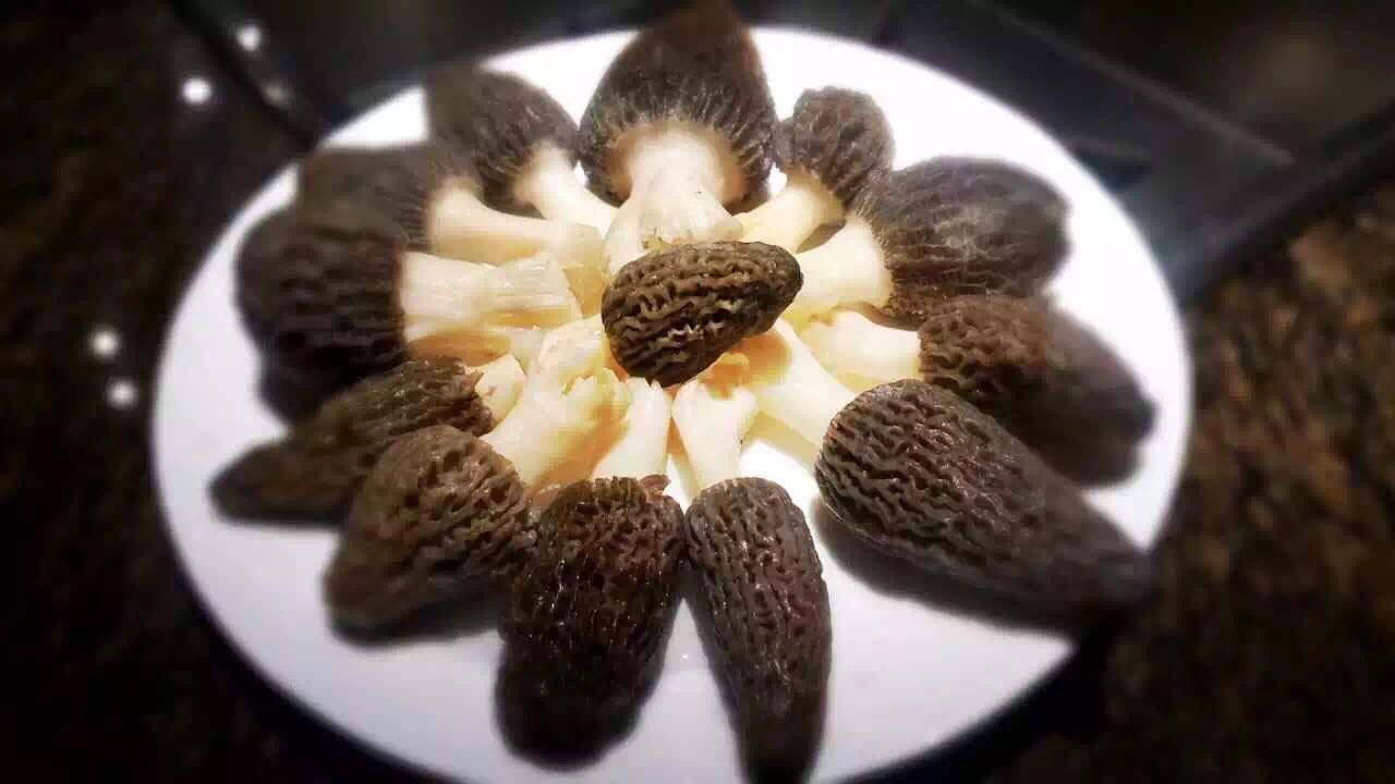吃羊肚菌的禁忌（浅谈食用羊肚菌的注意事项）