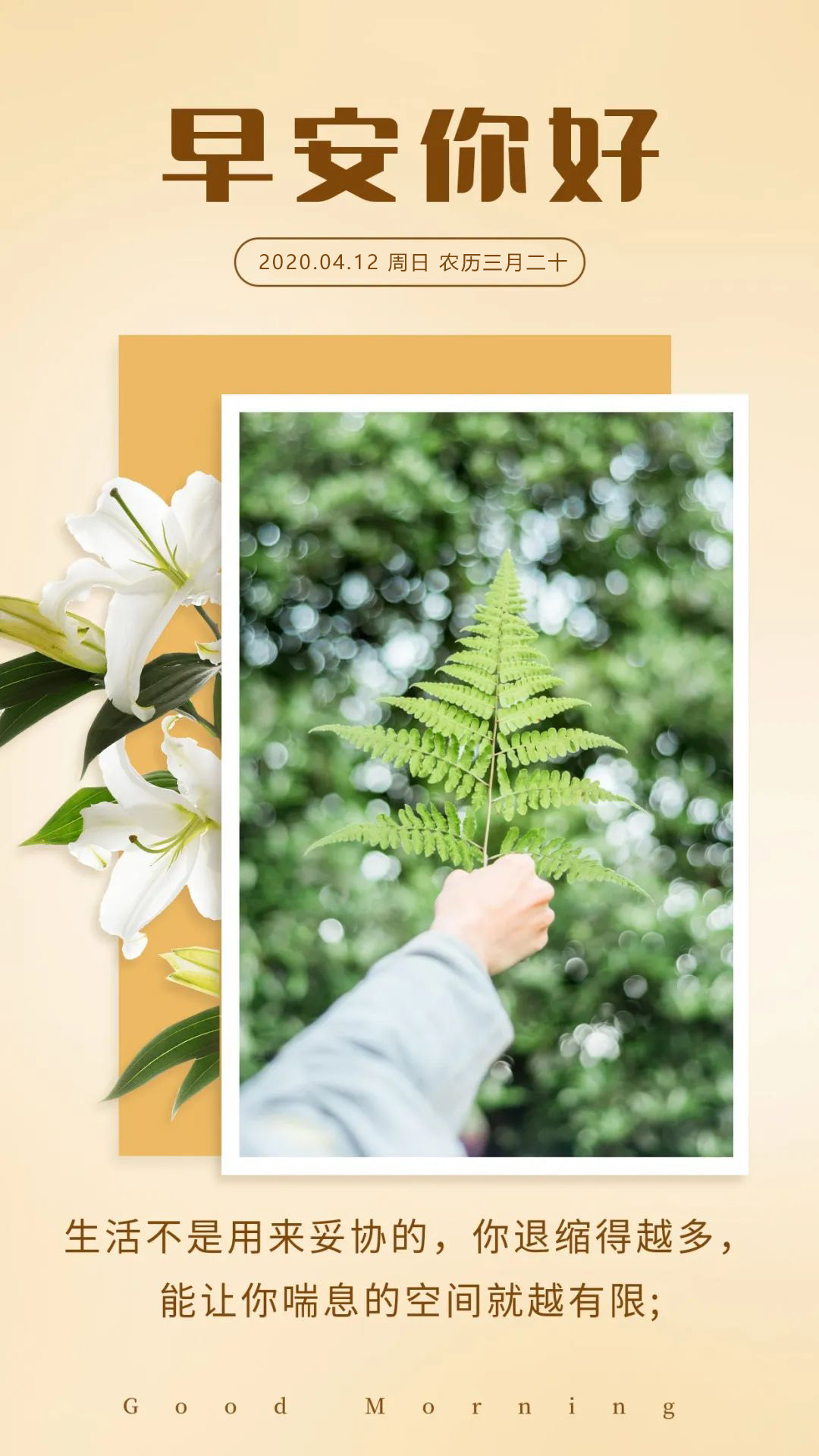 周末早晨好图片正能量问候语：希望所有努力和值得，都能撞个满怀