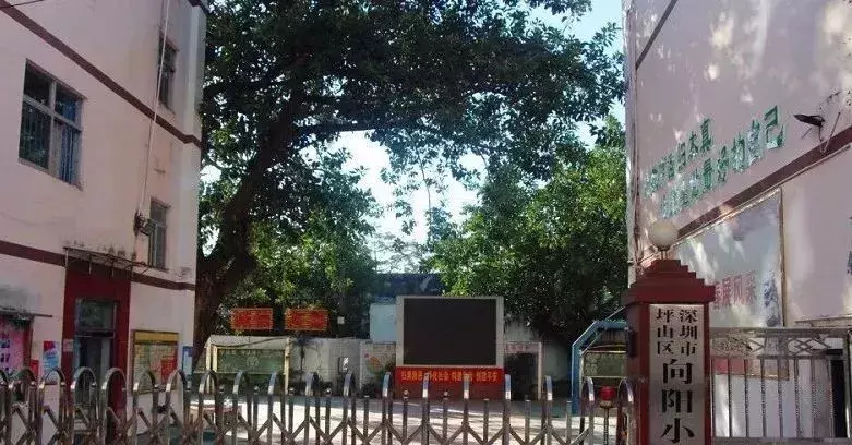 深圳近10所学校转学插班报名进行中，即将截止