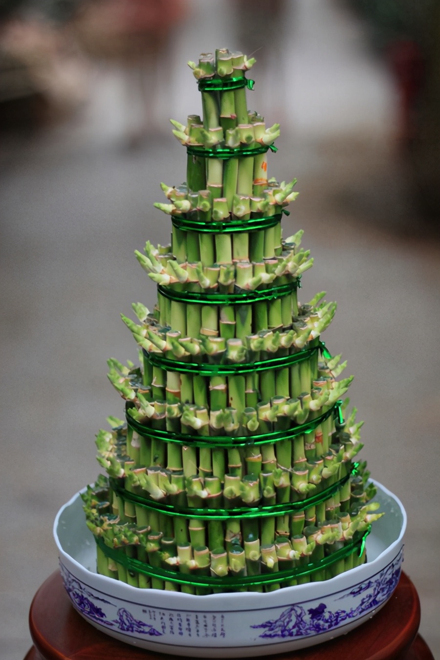 富贵竹养护要点,熟悉它的习性,这几点要注意