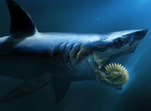 三叠纪十大恐怖生物(三叠纪最大的生物是什么) - 泉兴百科