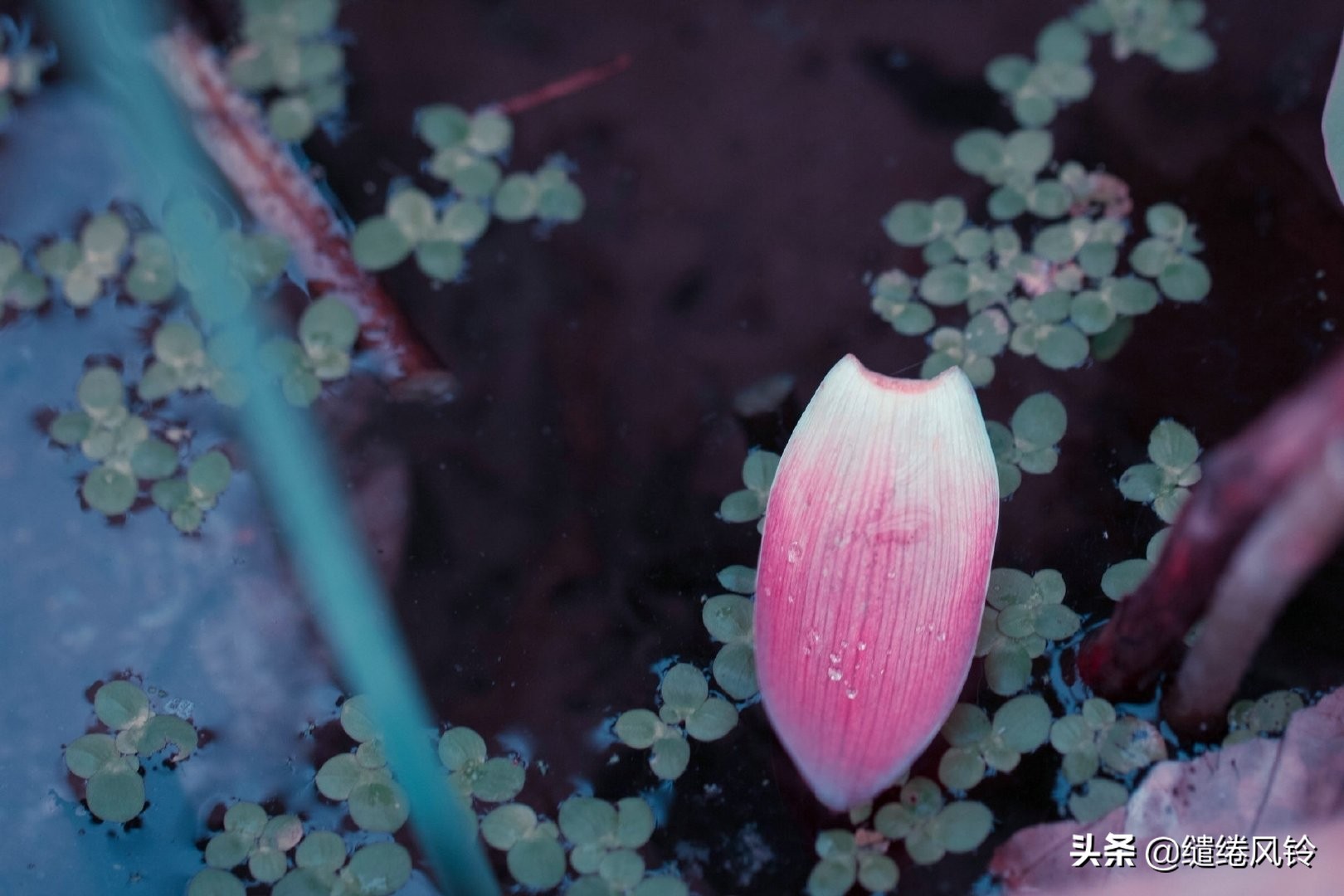 剑未佩妥，出门已是江湖——50句古风文艺诗句，美到窒息