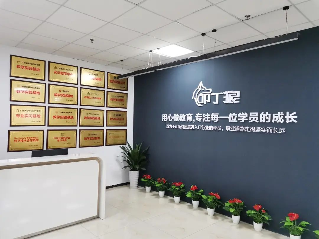 关于叩丁狼，你想知道的都在这里了！