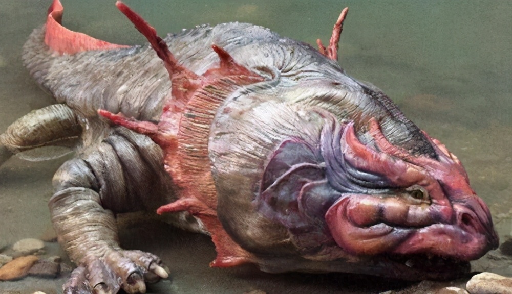 虾蟆螈是什么（史前动物界中最凶猛的10大霸主）