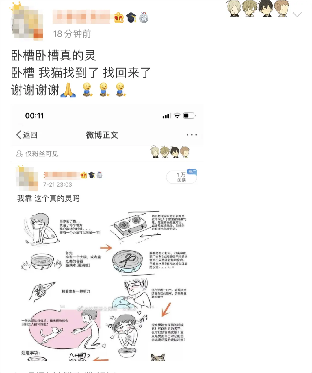 “剪刀大法”真的能找回走丢的猫？我信了