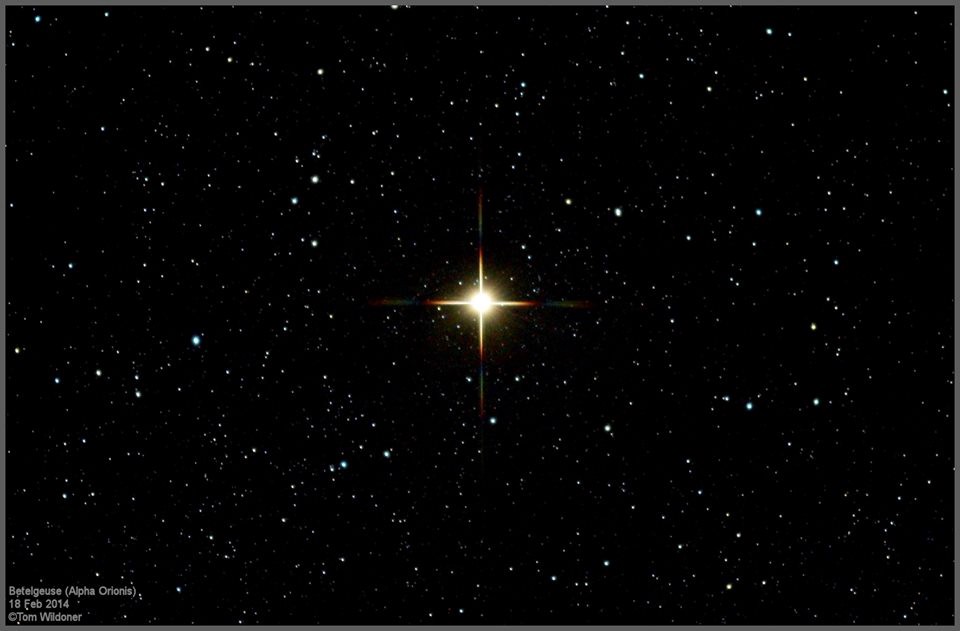 夜空中最亮的星作文范文 夜空中最亮的星作文600字