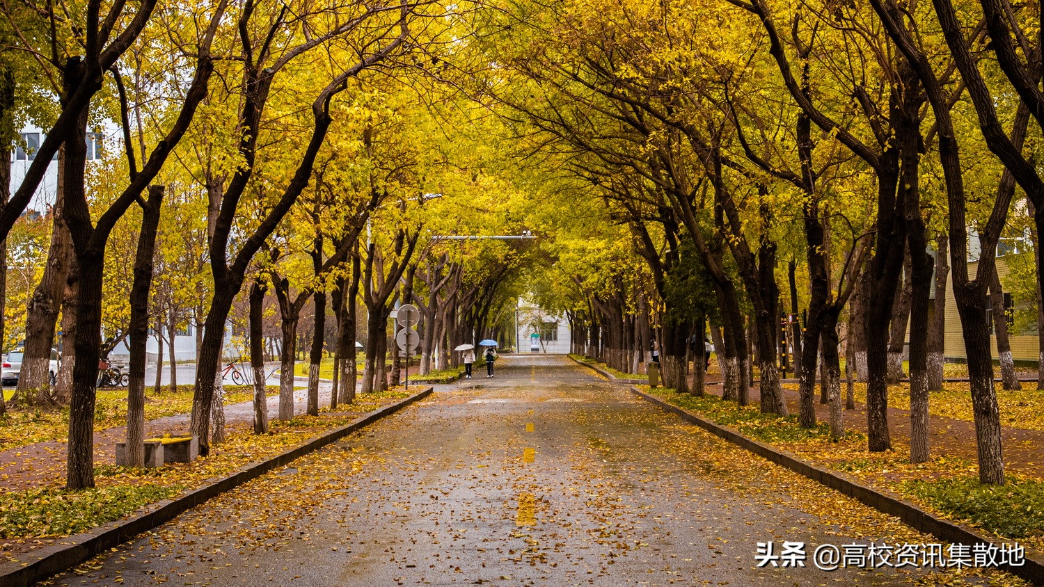 薪资和发达省市不再是就业首选｜揭秘双一流高校东北农大
