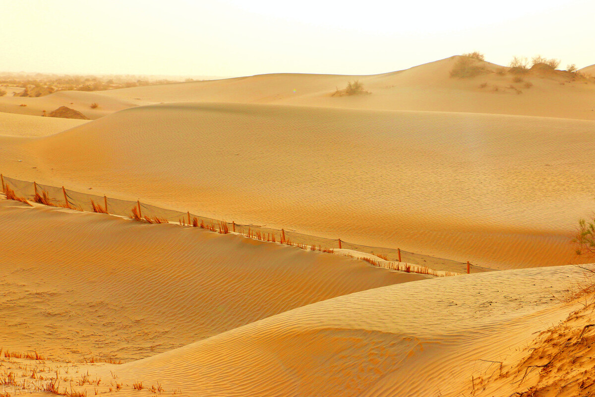 提高孩子学习能力的10项拓展训练——沙漠奇案