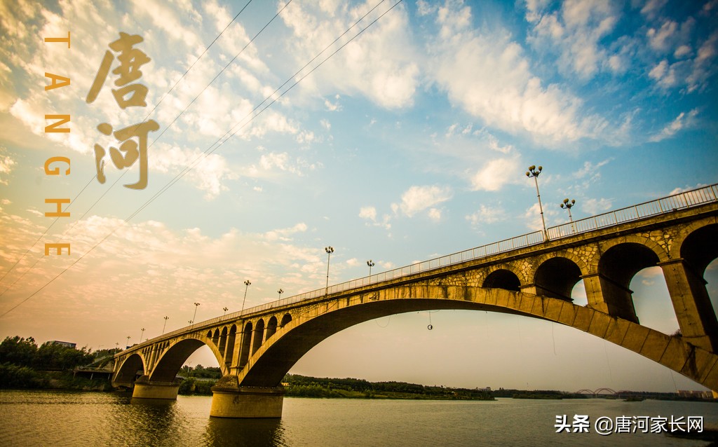 唐河县第一高级中学：广纳天下英才，振兴唐河教育