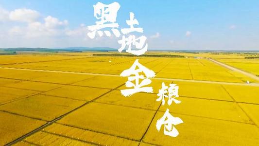 中国的三大平原，都占据各省的什么位置？有没有第四个平原那？