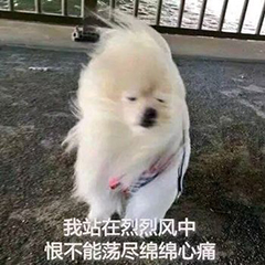 这几个质量超高的自学网站，年薪过百万的大神都在用