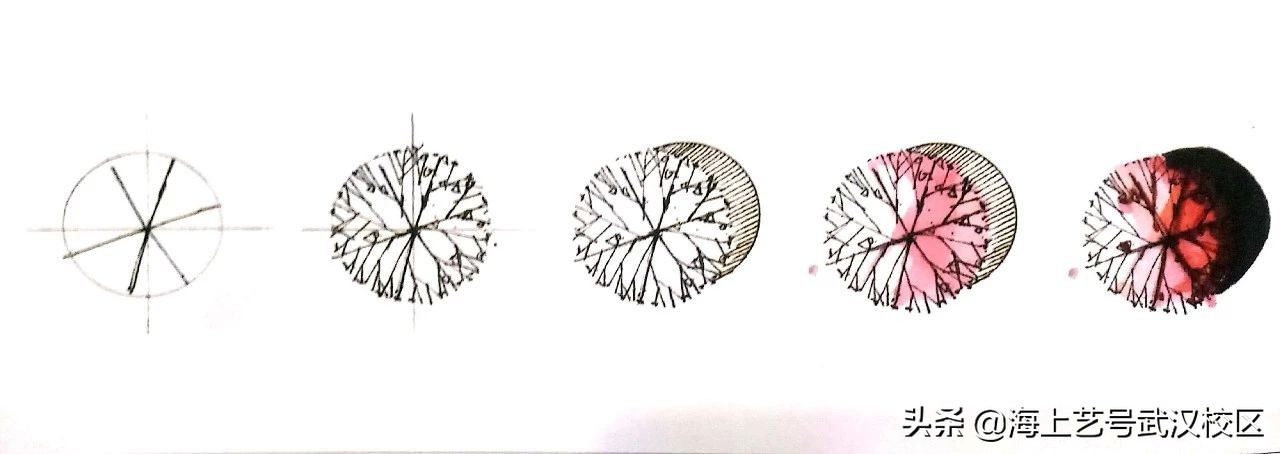 干货分享|植物的平面图画法