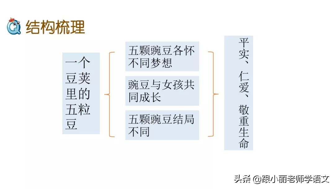 部编四年级语文上册第5课《一个豆荚里的五粒豆》图文解读+知识点