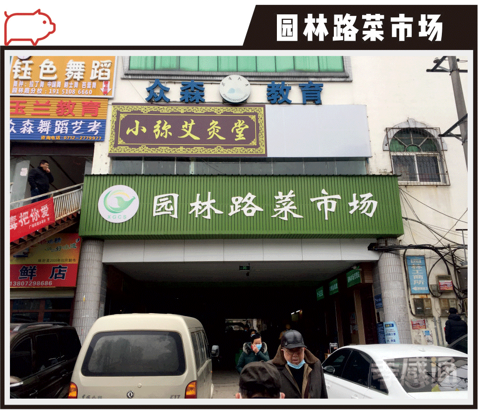 孝感今日肥猪价「今日重庆肥猪价是多少钱一斤」