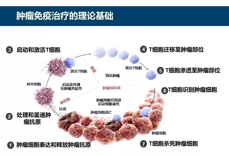 癌细胞几个月“消灭殆尽”！CAR-T疗法上市，我国迎来抗癌春天