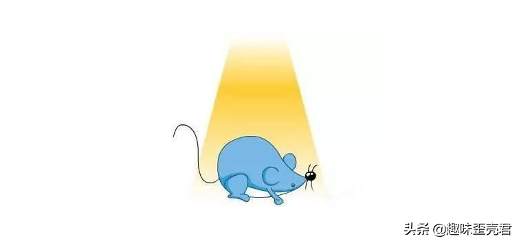 鼠目寸光是什么意思解释鼠目寸光成语典故