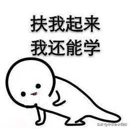 神了！初级199一次过，中级287，税务师609！3年高分过3证