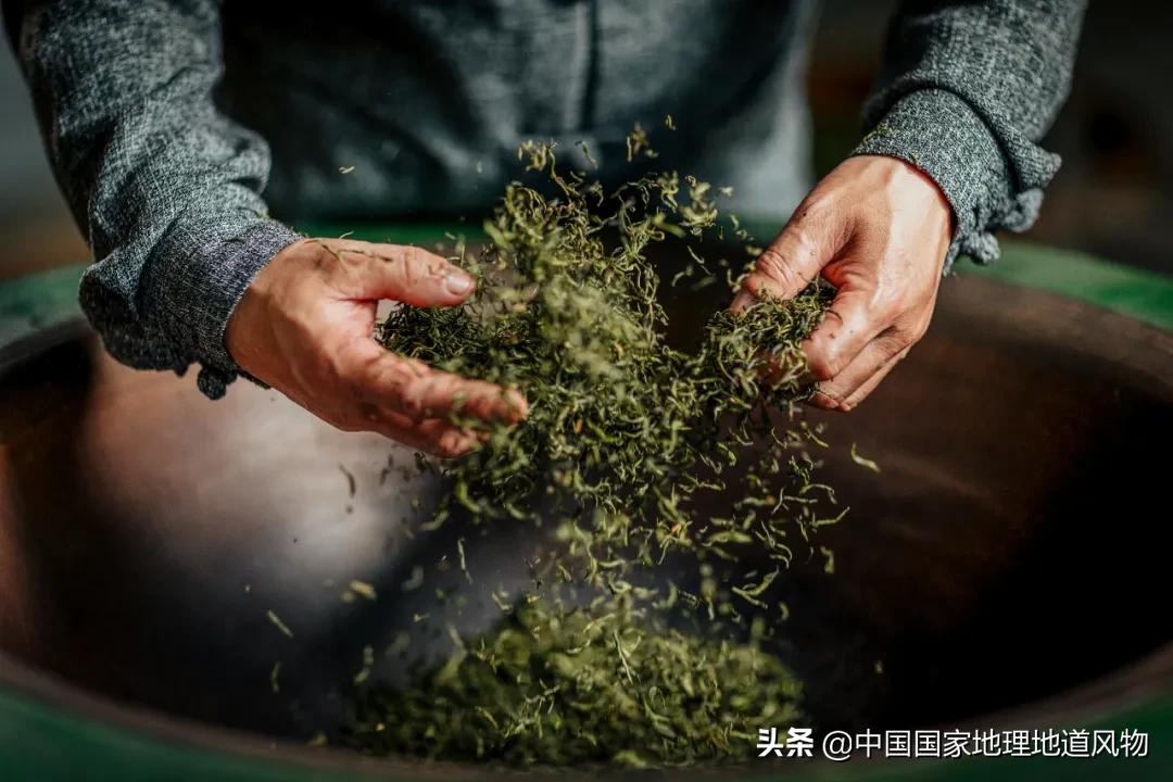 要想七夕过得去，最好有点抹茶绿