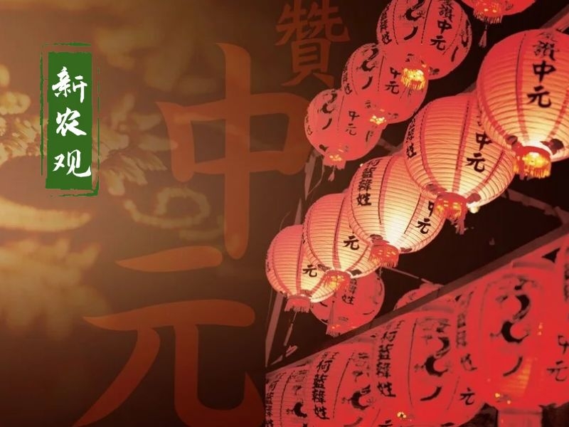 夏夜骤雨倾城：雷声轰鸣中，豆大雨点敲打窗棂，天地一片水幕迷蒙。