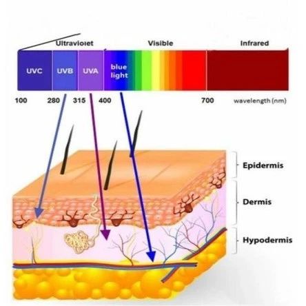 蓝光对皮肤的伤害是谣言吗？进来我讲给你听