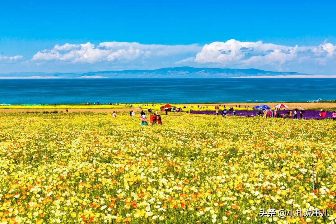 自驾游青海湖旅游攻略_【自驾游青海湖旅游攻略路线图】