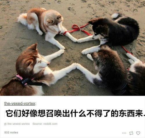 轻松一刻：关于泻火，我有话说