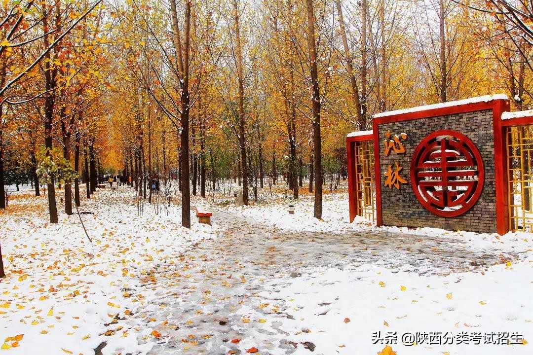 「招生章程」西安医学高等专科学校2020年综合评价考试招生章程