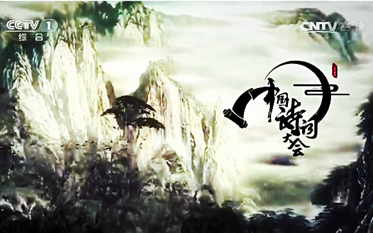 毕业于南艺的龙洋，30岁成中国诗词大会主持，收视创新高却被质疑