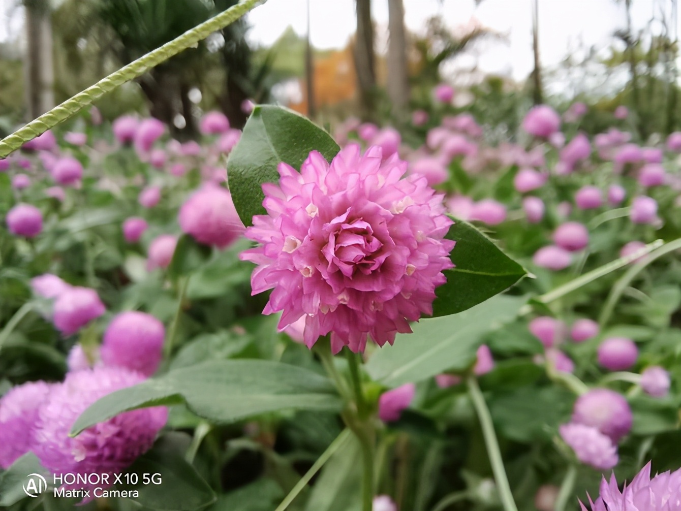 荣耀x10手机怎么样（荣耀X10手机性能测评）