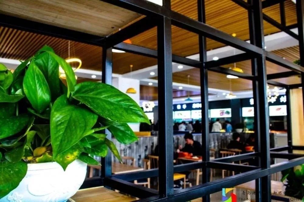 当我遇见青岛港湾职院...