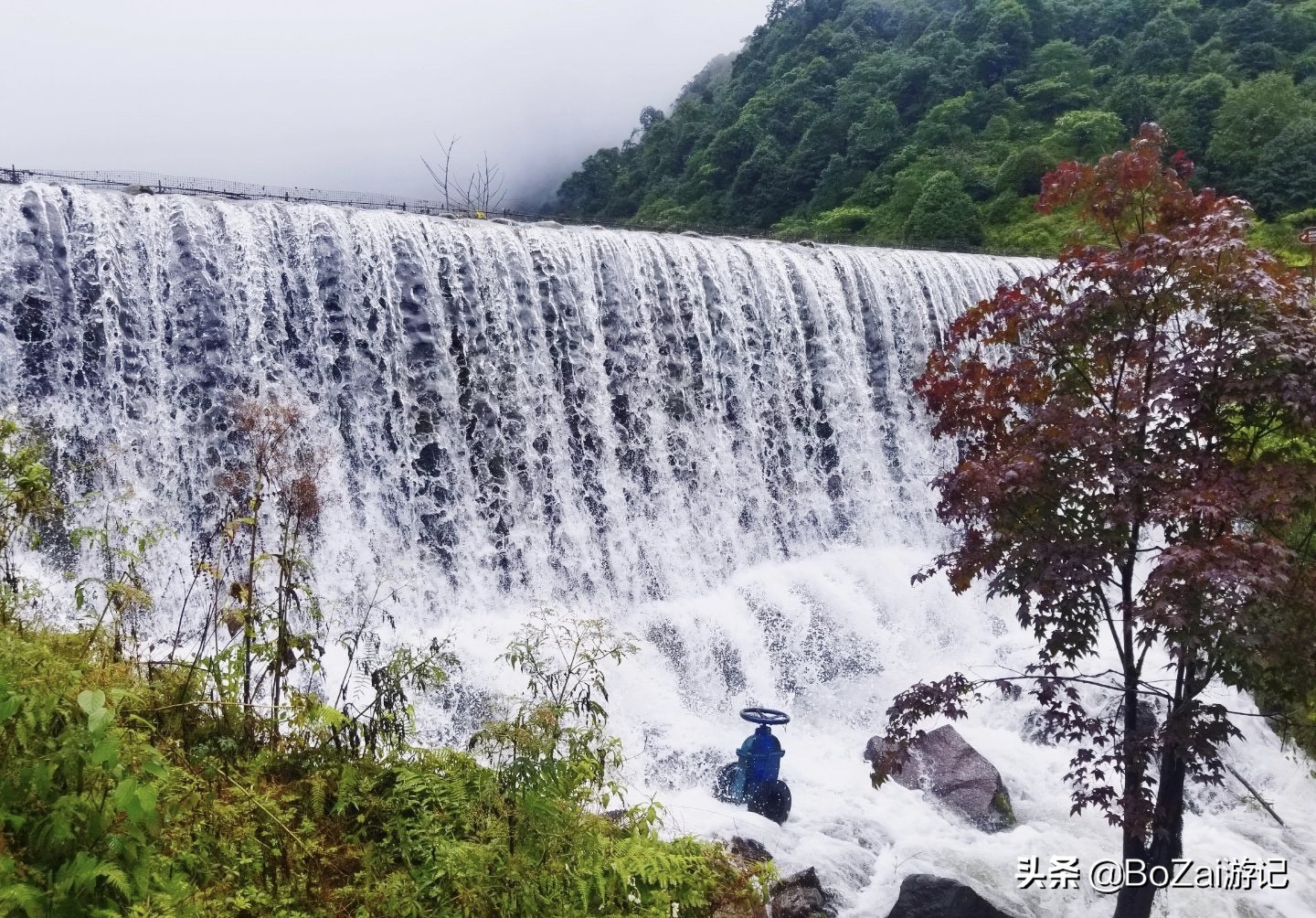 到四川乐山市旅游不能错过的10个景点，你去过几个？最爱哪个景点