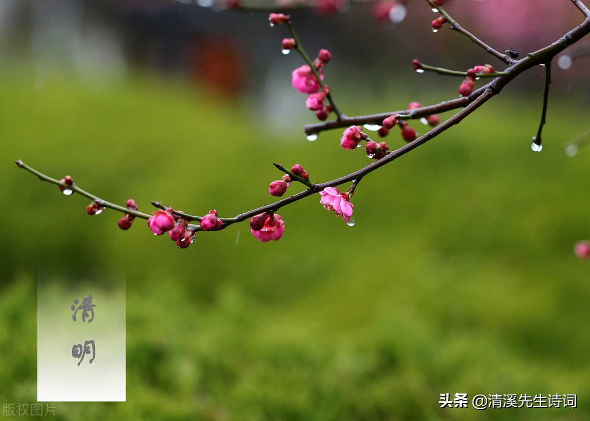 浅谈格律诗之五：格律诗常用的十二种修辞手法（2）