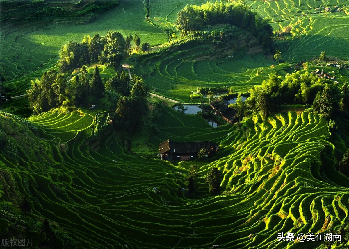 最新湖南这几个学校的高考喜报出来了，有没有你所在地的学校？