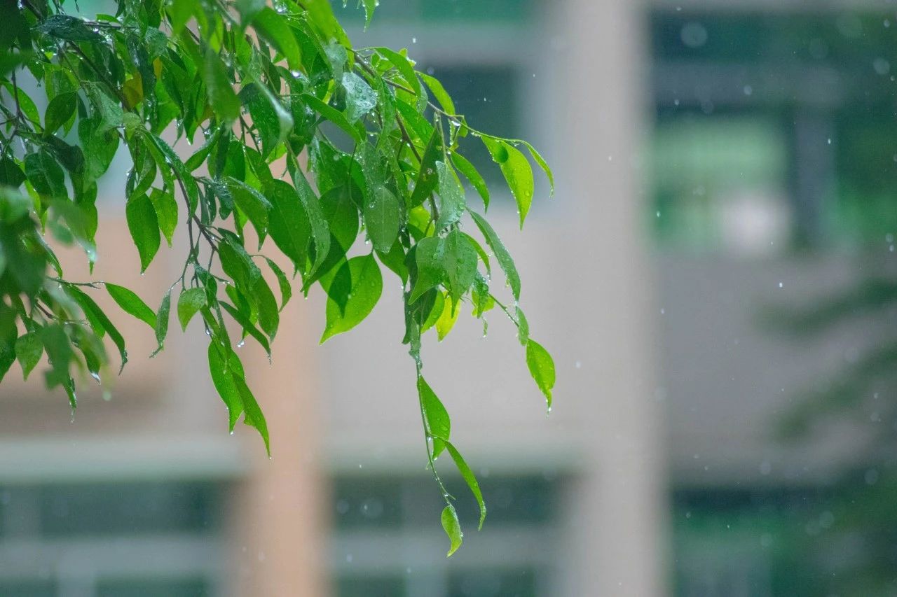 下雨的詩句傷感的古詩愛情(下雨的詩句傷感的古詩)_愛閱讀