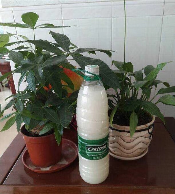 用这16种可以利用的厨余垃圾，家庭简易堆肥造出肥沃疏松的土壤