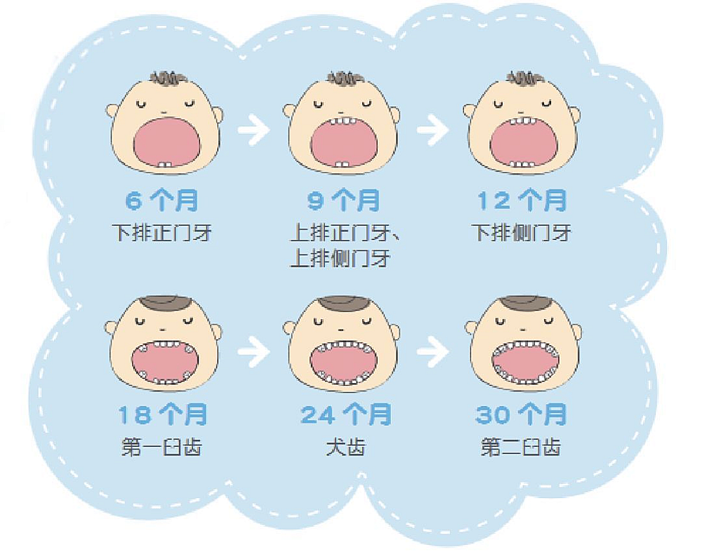 宝宝长牙3个注意,第一颗牙,出牙顺序,表现和应对,一文讲清